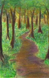 twilight forest
