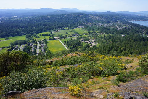 Mt. Doug