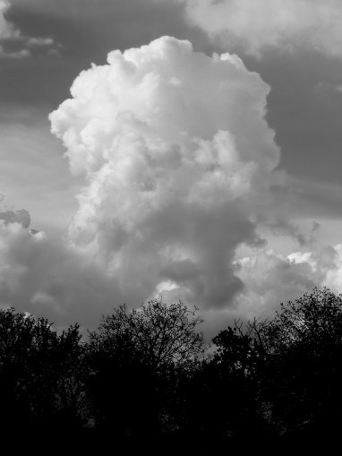 Nuke